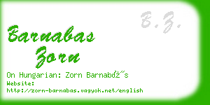 barnabas zorn business card